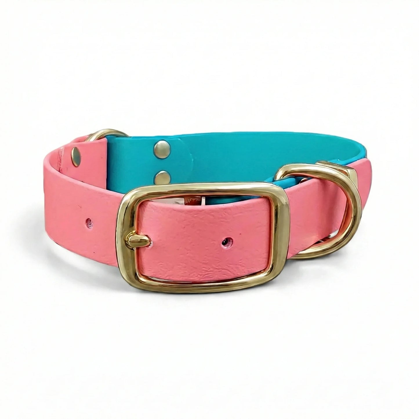 collared creatures waterproof biothane dog buckle collar in teal & coral multicolour for dogs