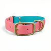Teal & Coral Multicolour Waterproof Biothane Buckle Dog Collar