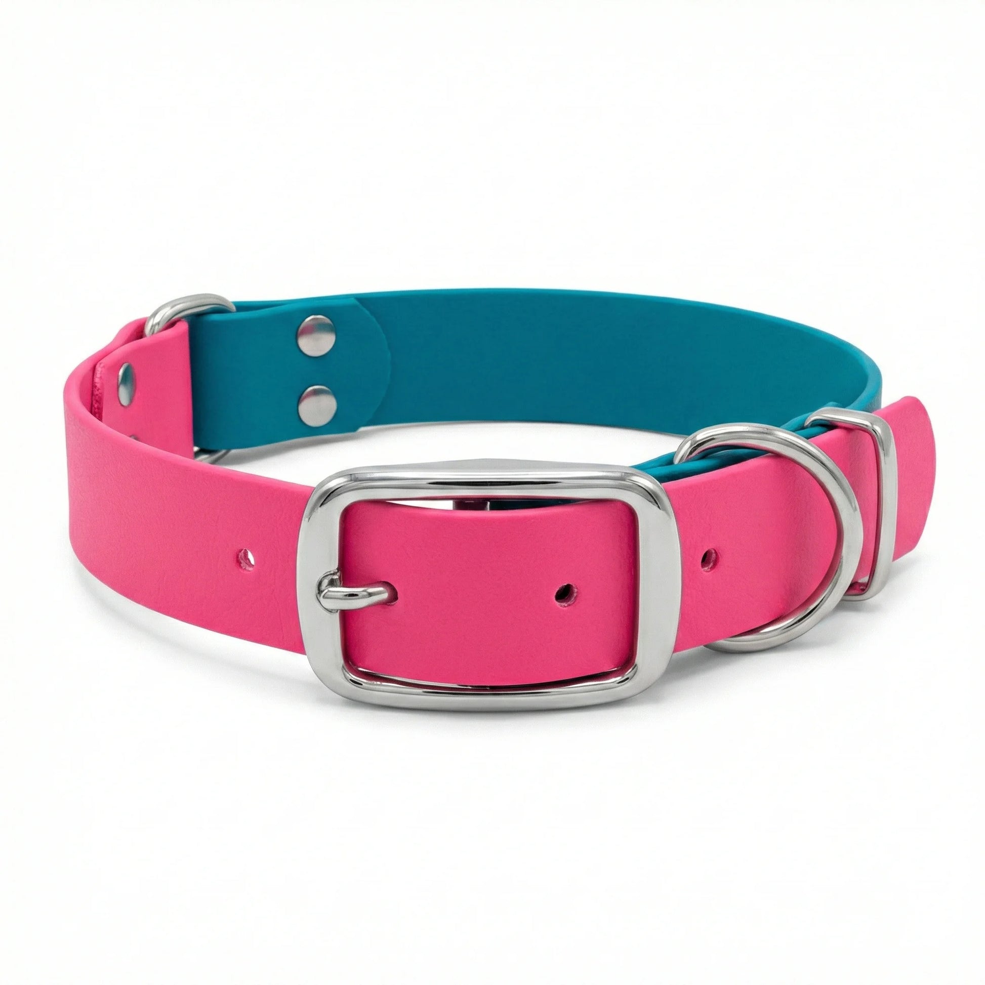 collared creatures waterproof biothane dog buckle collar in turquoise & fuchsia multicolour for dogs