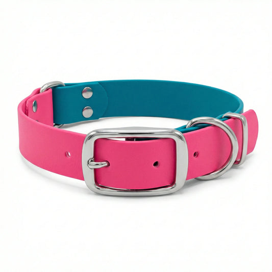 collared creatures waterproof biothane dog buckle collar in turquoise & fuchsia multicolour for dogs