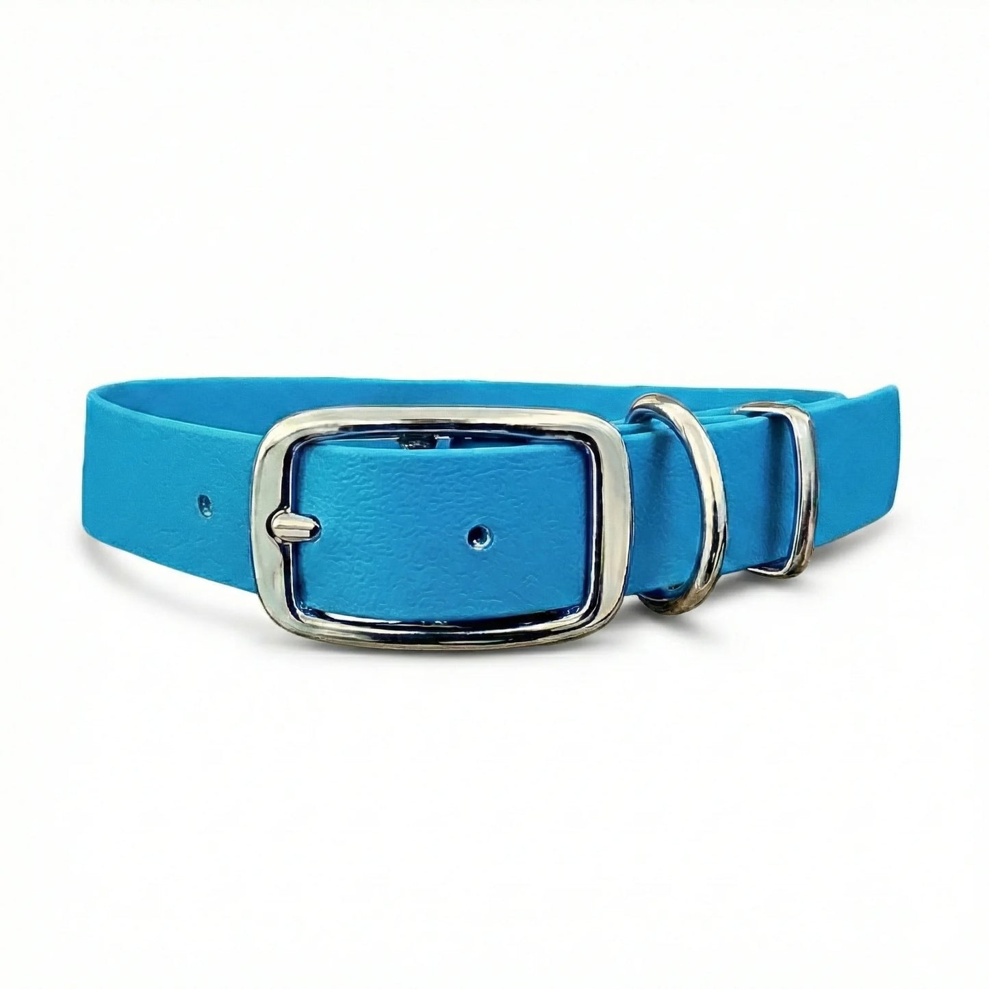 collared creatures waterproof biothane dog buckle collar in turquoise for dogs