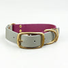 Wine & Beige Multicolour Waterproof Biothane Buckle Dog Collar