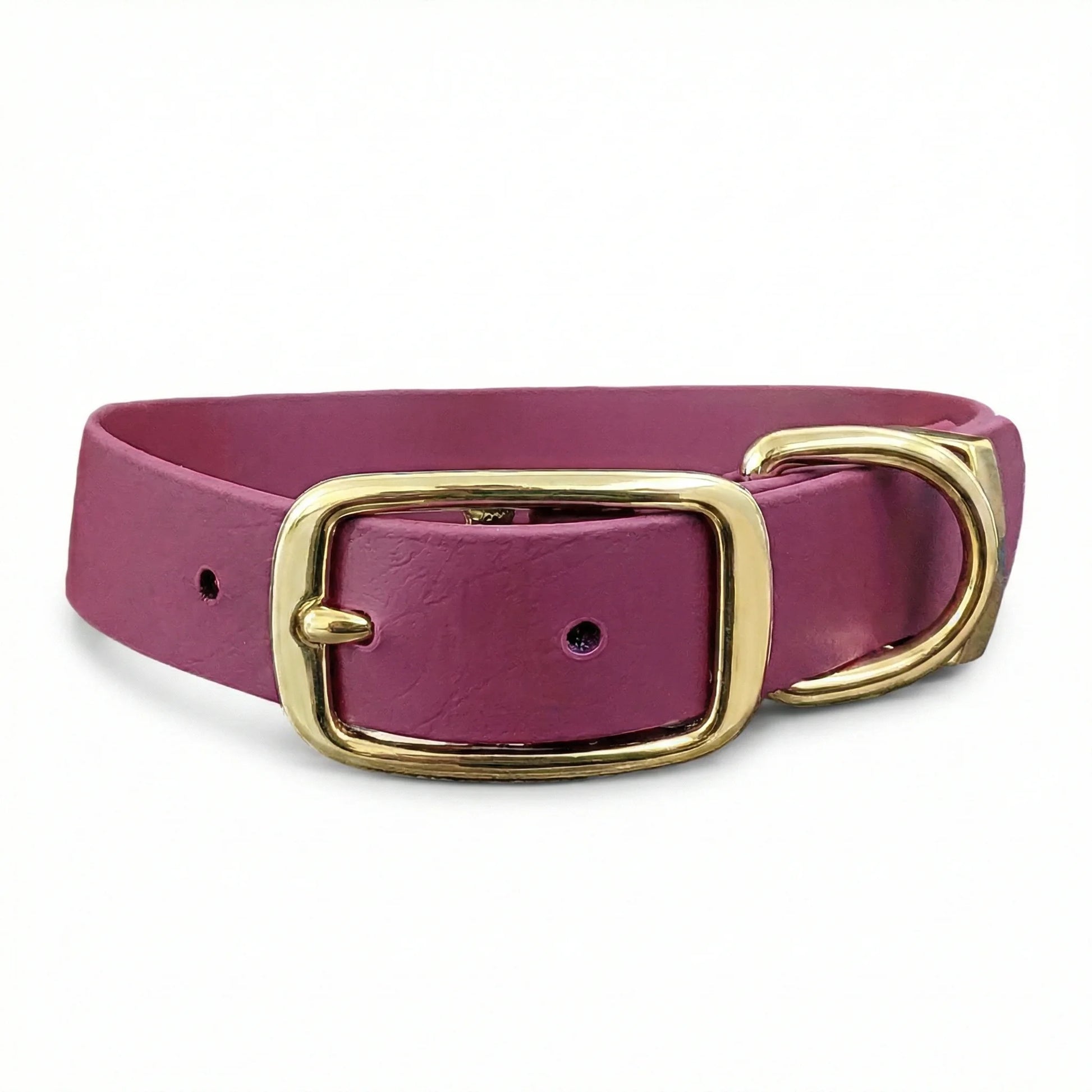 collared creatures waterproof biothane dog buckle collar in wine for dogs