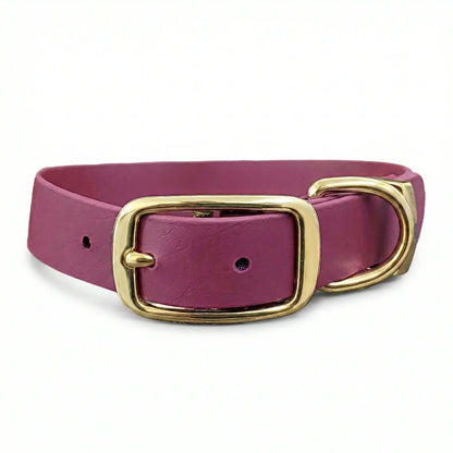 collared creatures waterproof biothane dog buckle collar in wine for dogs