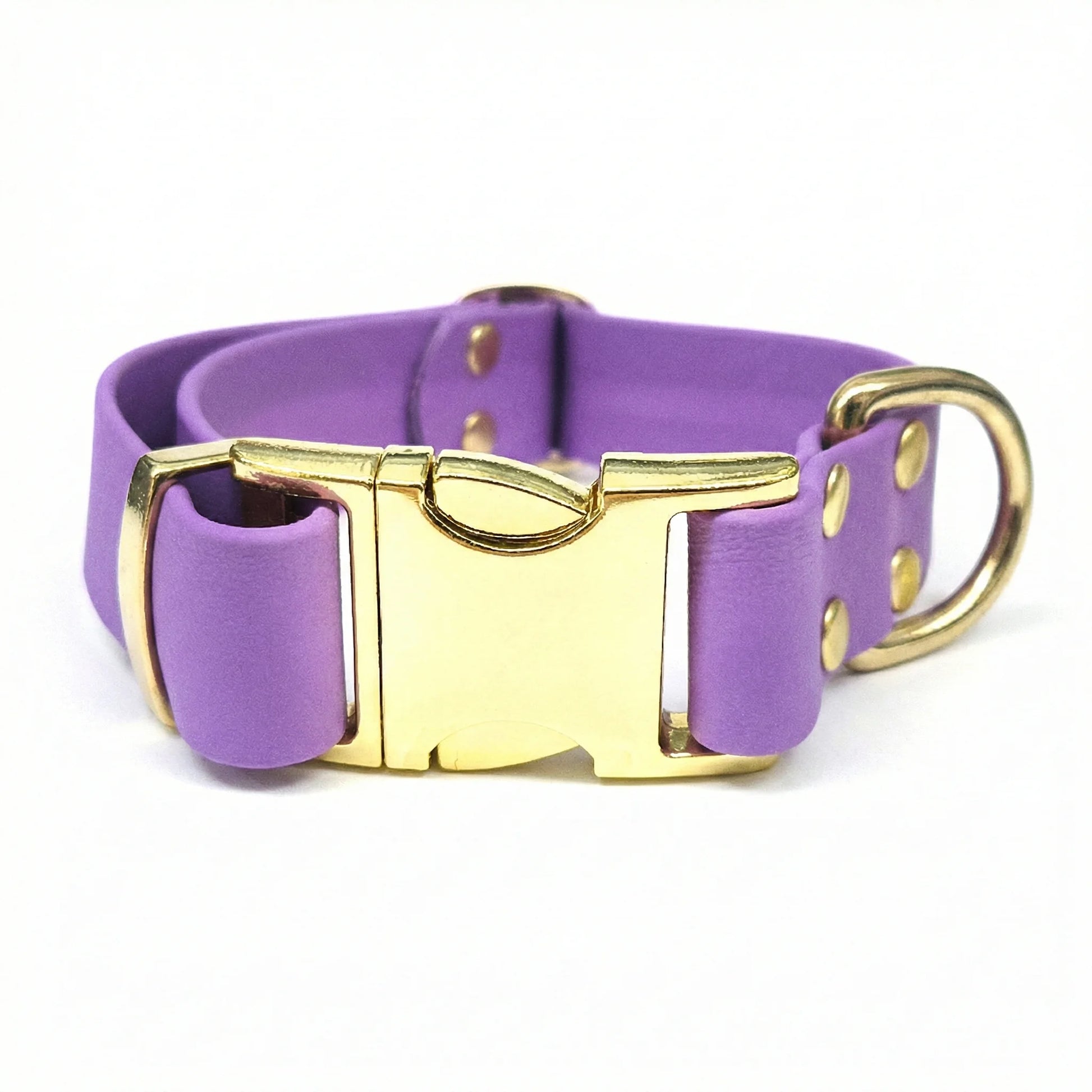 collared creatures waterproof biothane dog metal clasp collar in amethyst for dogs