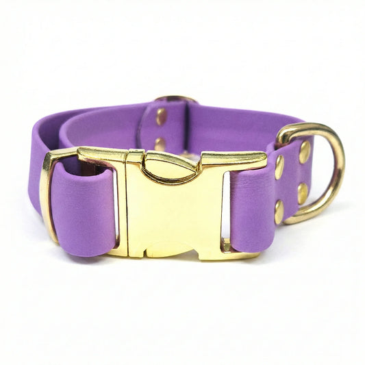 collared creatures waterproof biothane dog metal clasp collar in amethyst for dogs