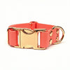 Coral Waterproof Biothane Metal Clasp Dog Collar