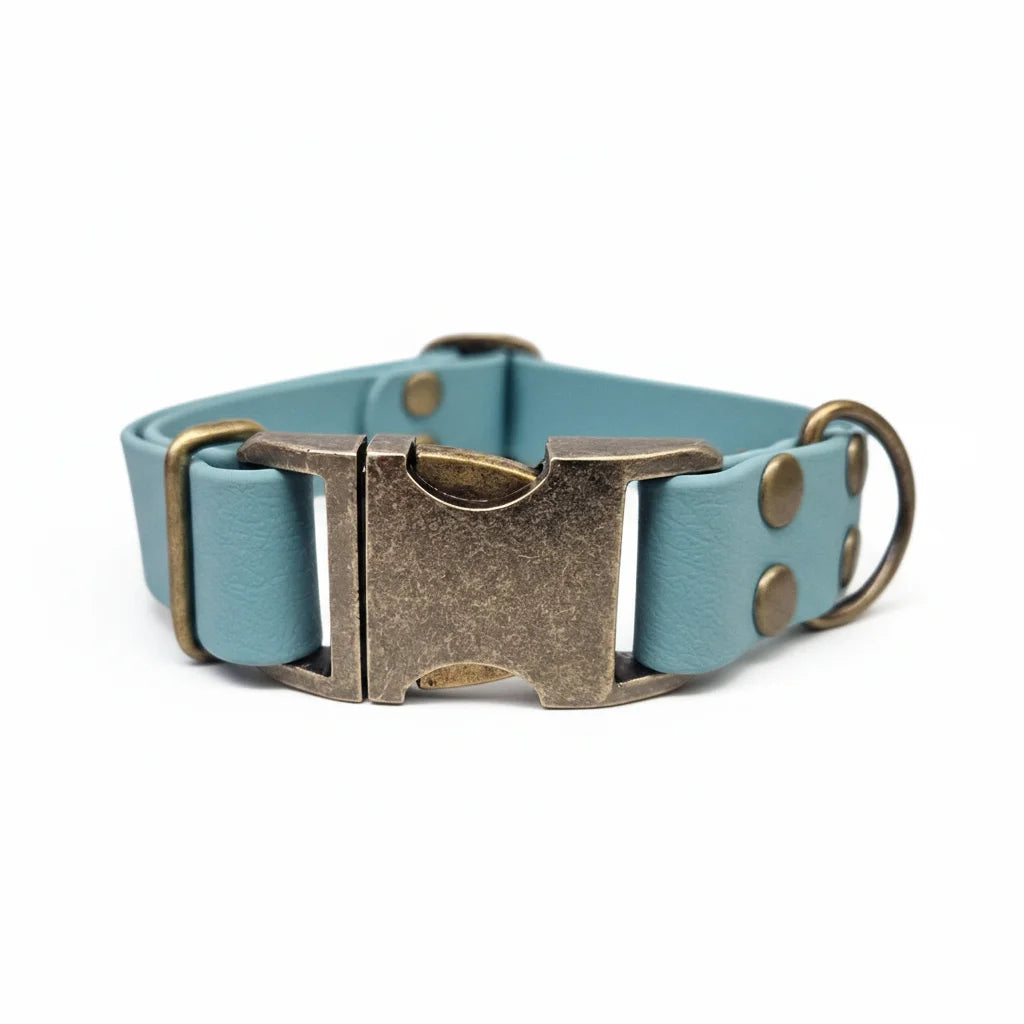 collared creatures waterproof biothane dog metal clasp collar in duck egg blue for dogs