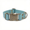 Duck Egg Blue Waterproof Biothane Metal Clasp Dog Collar