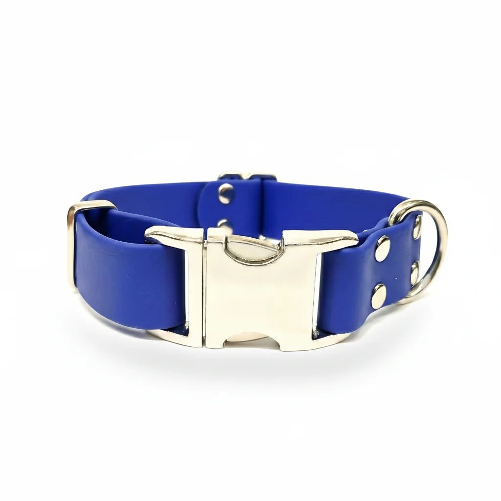 collared creatures waterproof biothane dog metal clasp collar in electric blue for dogs