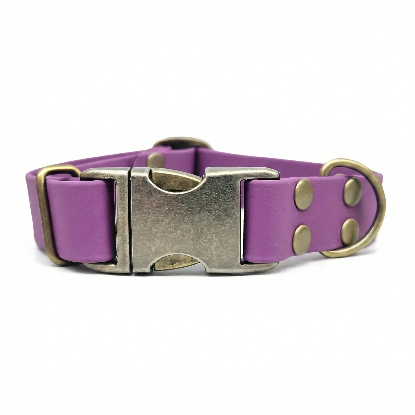 collared creatures waterproof biothane dog metal clasp collar in grape for dogs