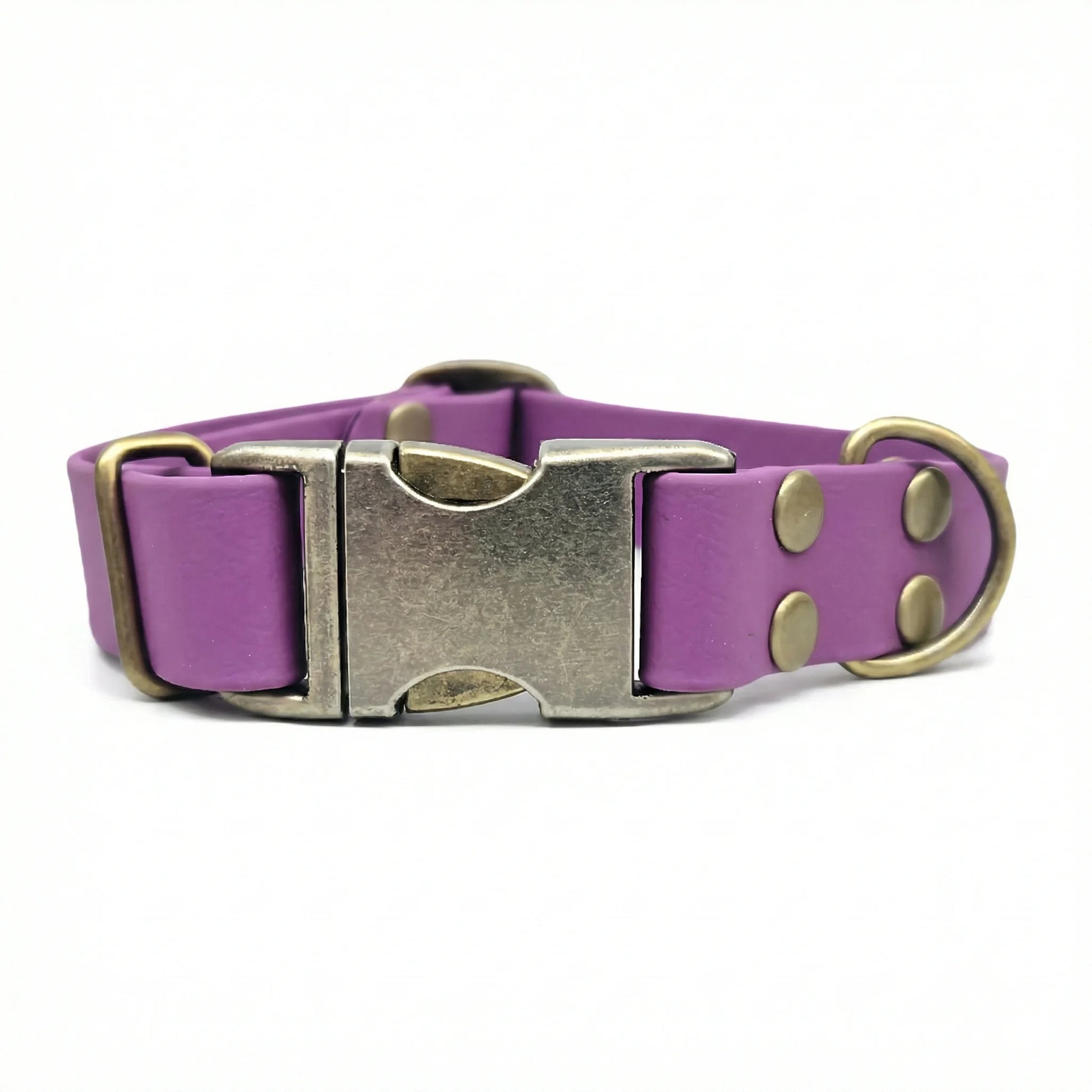 collared creatures waterproof biothane dog metal clasp collar in grape for dogs