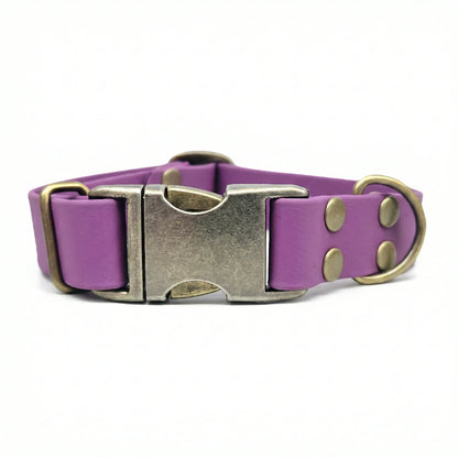 collared creatures waterproof biothane dog metal clasp collar in grape for dogs