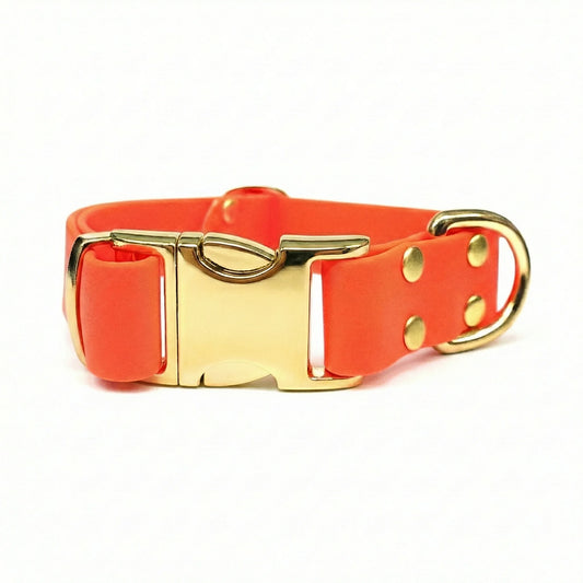 collared creatures waterproof biothane dog metal clasp collar in neon orange for dogs
