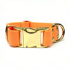 Tangerine Waterproof Biothane Metal Clasp Dog Collar