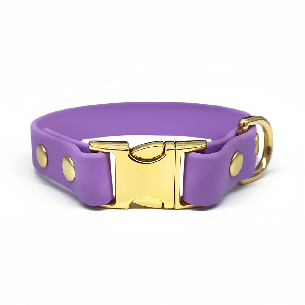 collared creatures waterproof biothane small breed 15mm dog clasp collar in amethyst for dogs