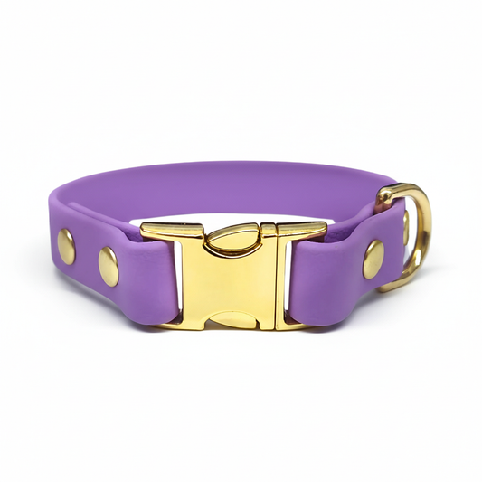 collared creatures waterproof biothane small breed 15mm dog clasp collar in amethyst for dogs