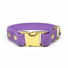 Amethyst Small Breed Waterproof Biothane Dog Collar 21cm to 28cm Neck