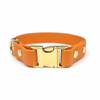 Burnt Orange Small Breed Waterproof Biothane Dog Collar 21cm to 28cm Neck