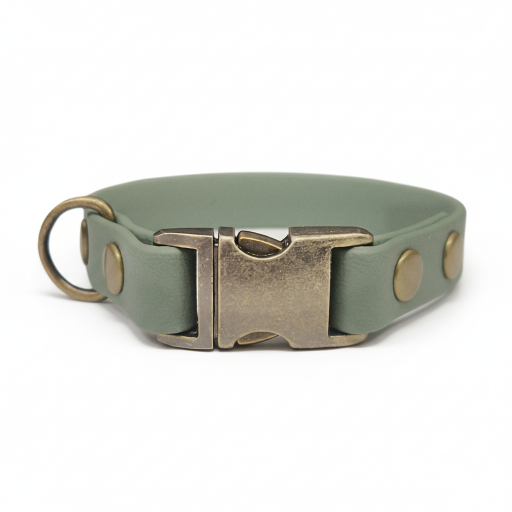 Collared Creatures Green Waterproof Dog Collar – Small Breeds | Collared Creatures ...