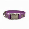 Grape Small Breed Waterproof Biothane Dog Collar 21cm to 28cm Neck