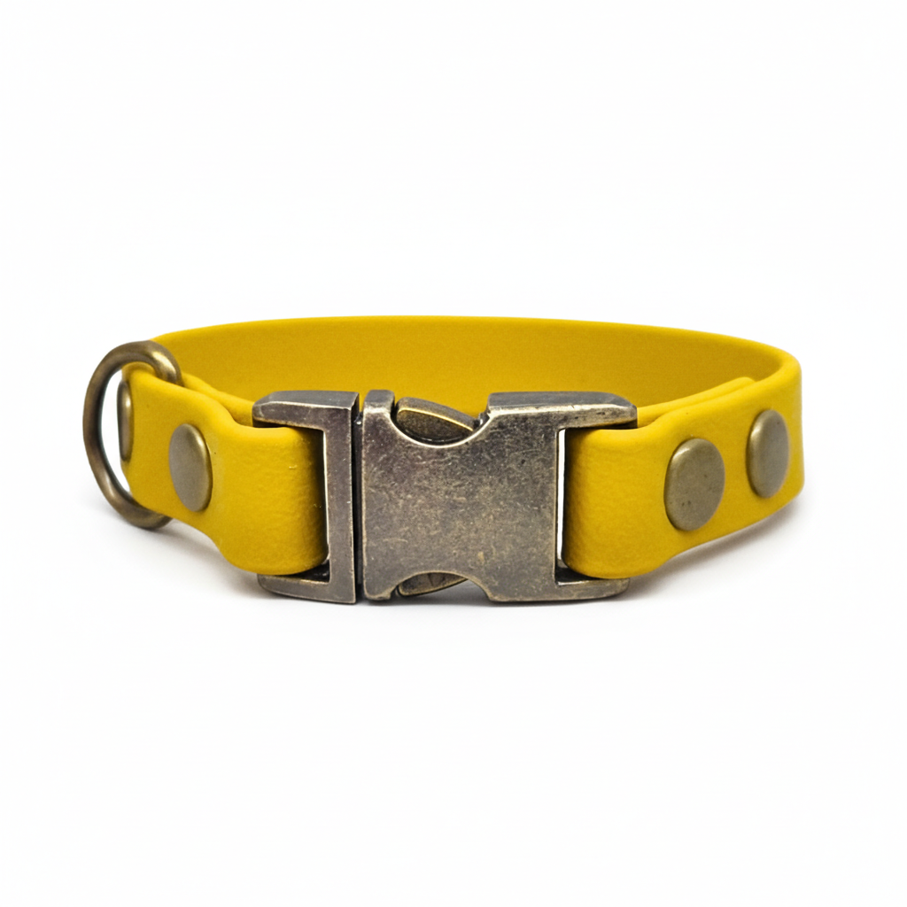 collared creatures waterproof biothane small breed 15mm dog clasp collar in mustard yellow for dogs
