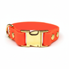 Neon Orange Small Breed Waterproof Biothane Dog Collar 21cm to 28cm Neck