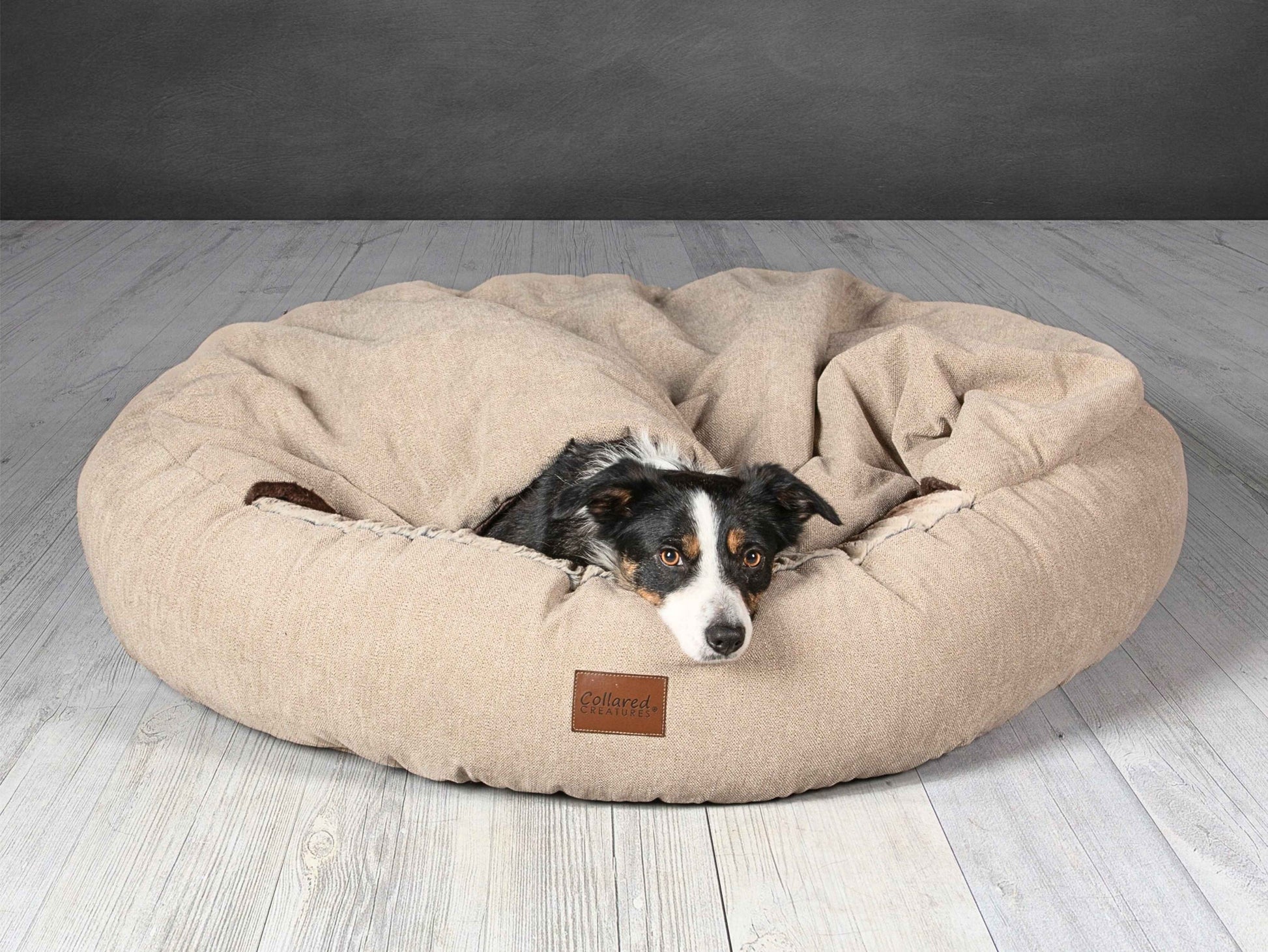 Collie resting inside beige cocoon dog bed with soft raised cover by Collared Creatures