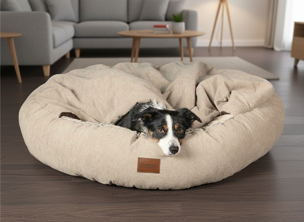 dog lying covered in classic comfort cocoon bed collared creatures
