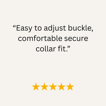 Five-star rating with text 'Easy to adjust buckle, comfortable secure collar fit.' on a white background