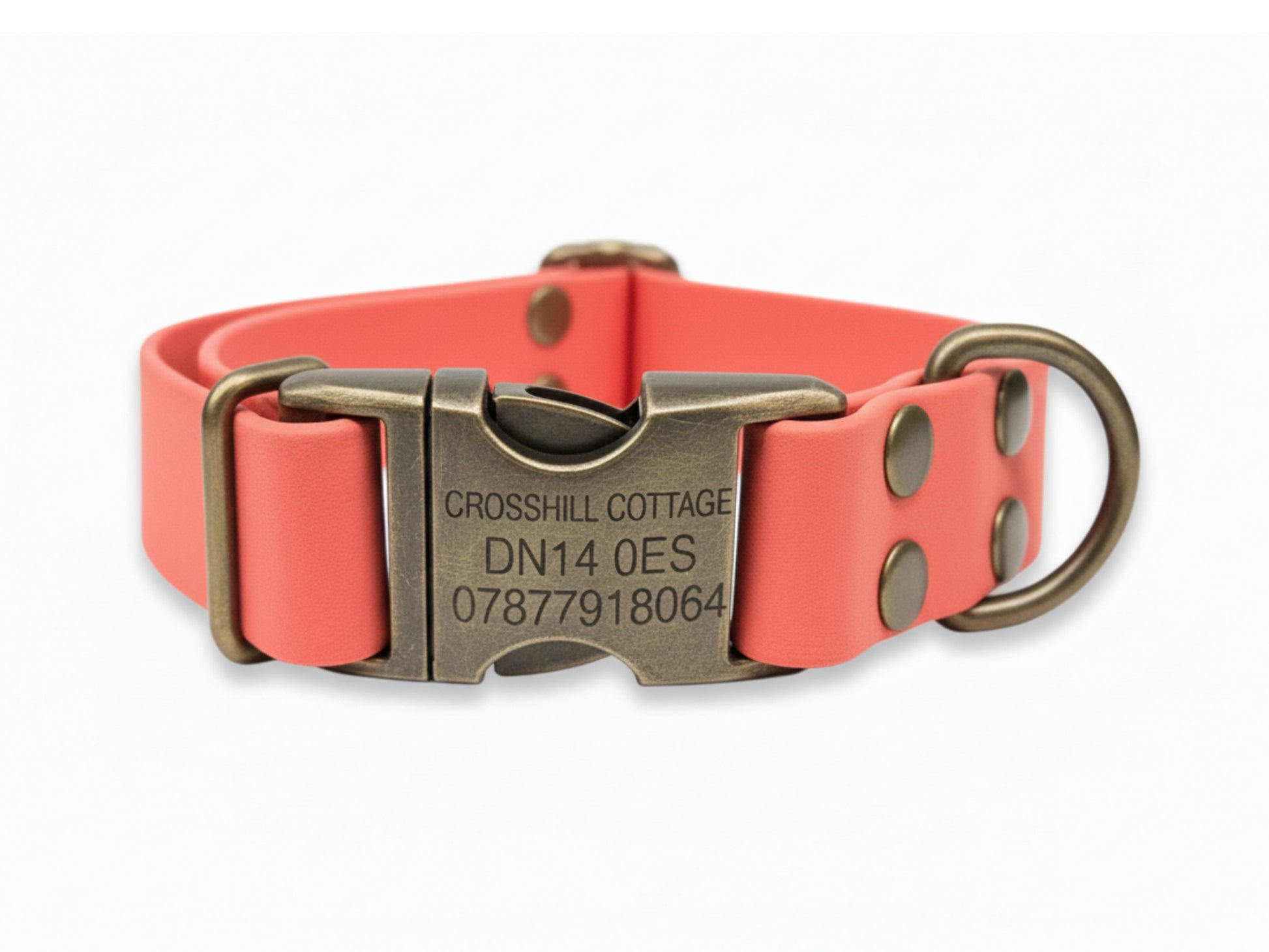 coral biothane clasp collar with engraving example