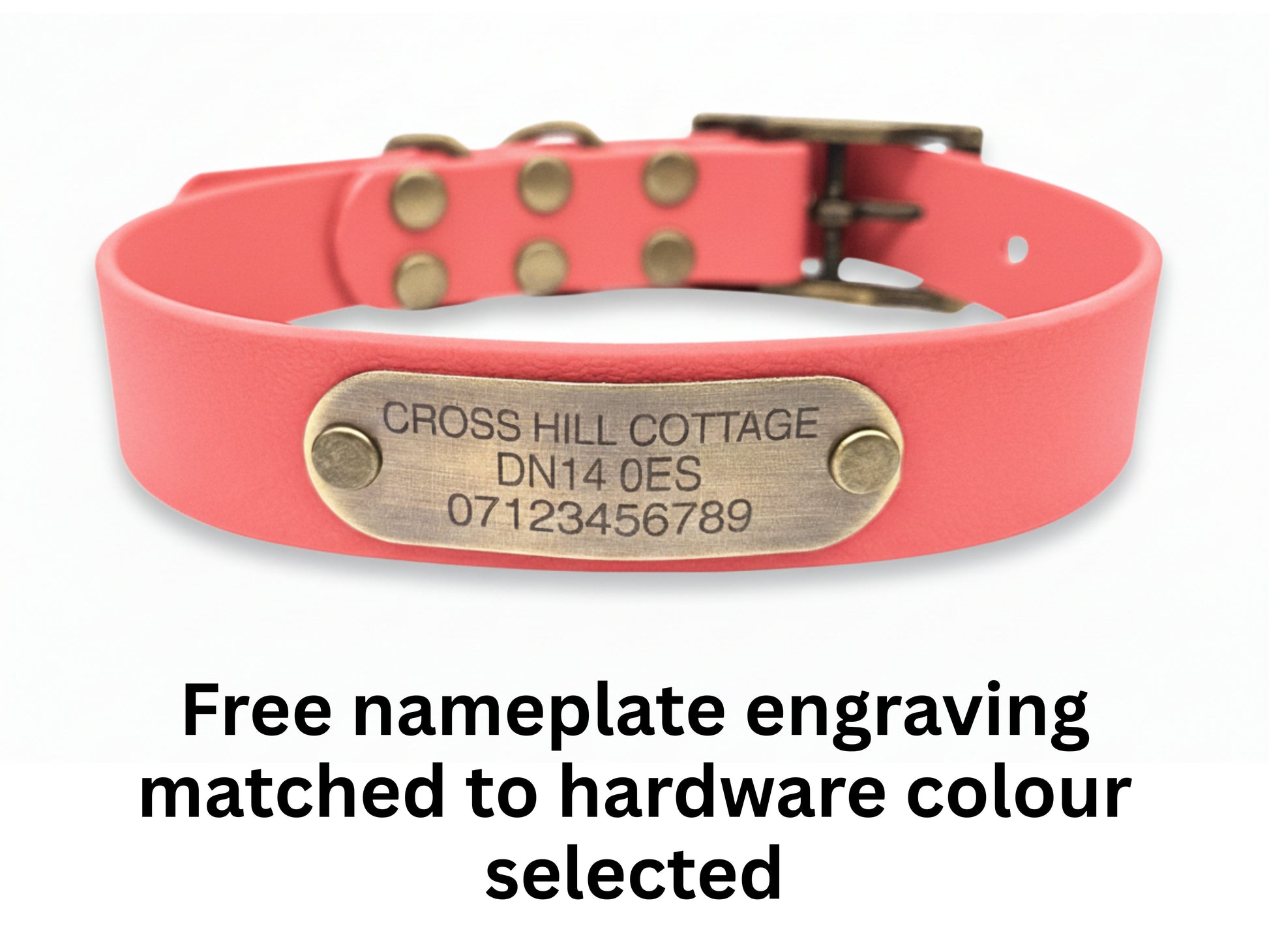 coral pink biothane buckle collar with engraved nameplate on white bg
