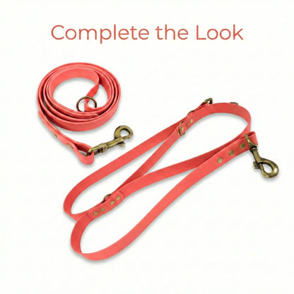 Coral Waterproof Biothane Metal Clasp Dog Collar