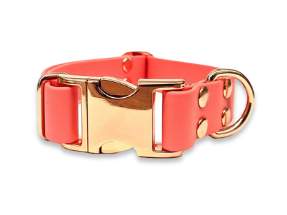 Durable Coral Biothane dog collar – bacteria-resistant, non-stretch, and perfect for outdoor use – by Collared Creatures