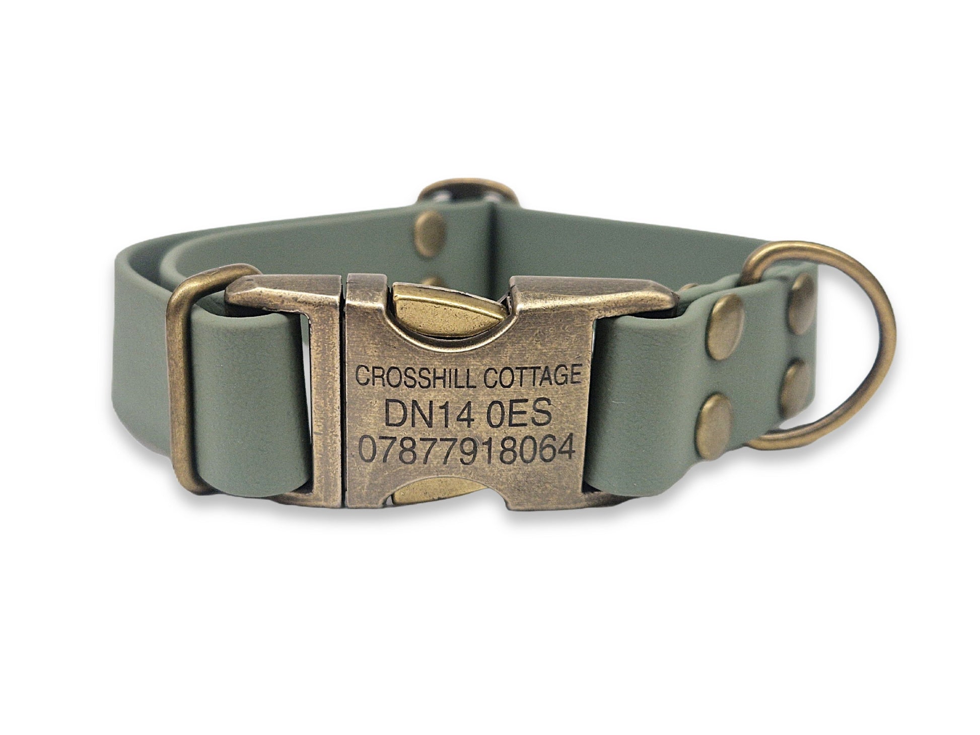 Green dog collar with brass buckle and engraved details on a white background