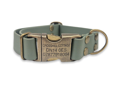 Green dog collar with brass buckle and engraved details on a white background