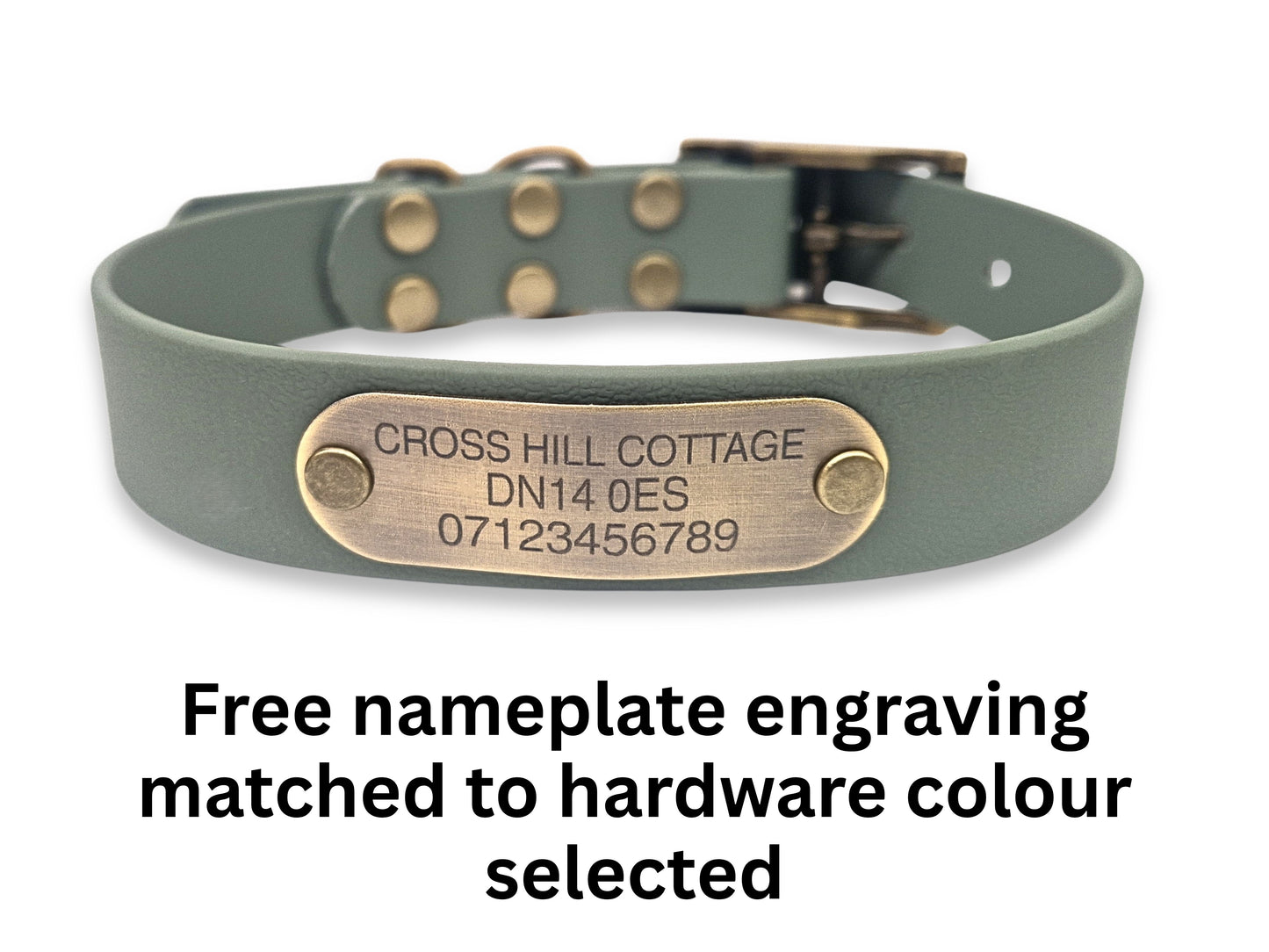 Green dog collar with a brass nameplate on a white background