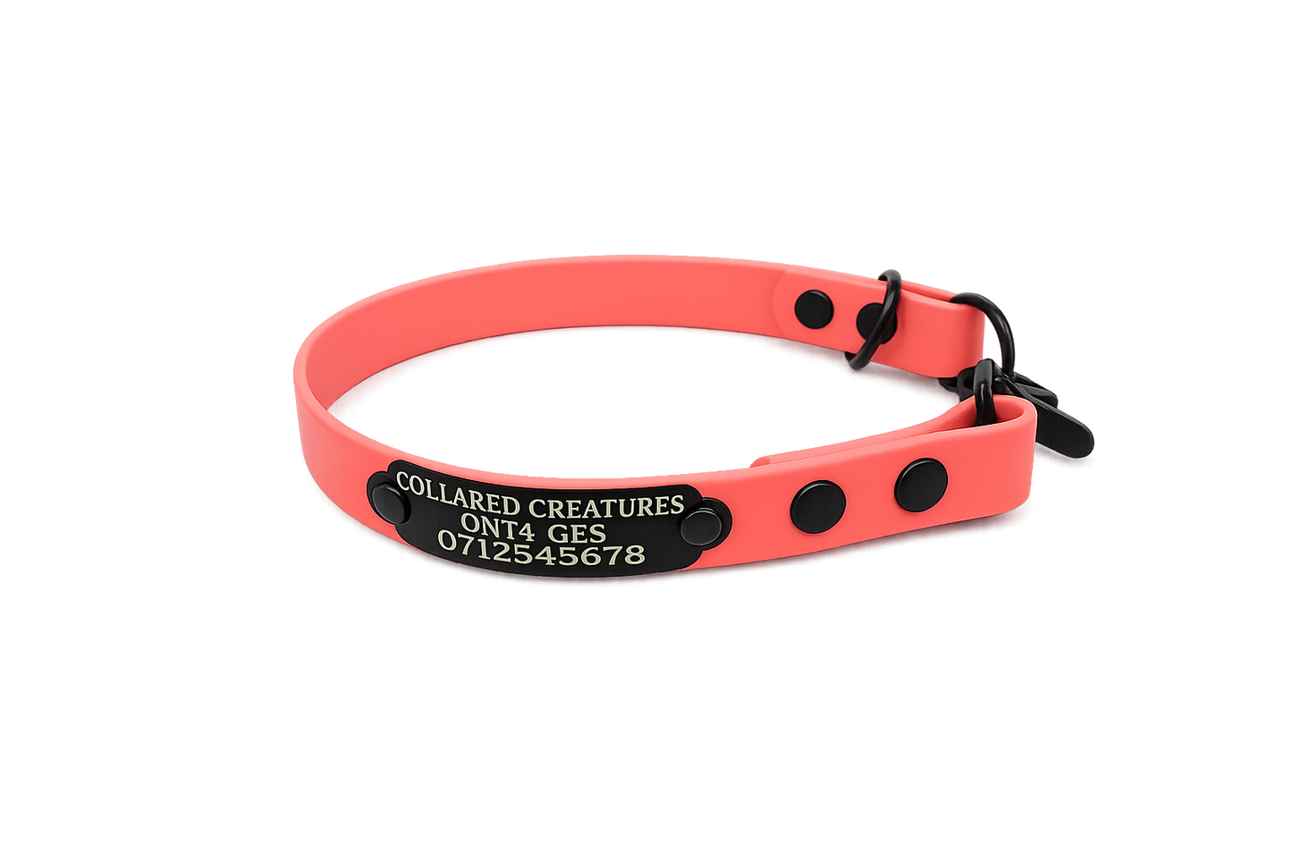Coral Waterproof Biothane Slip Dog Collar