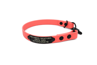 Coral Waterproof Biothane Slip Dog Collar
