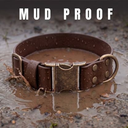 dark brown waterproof dog collar, mud proof and standing in wet mud 