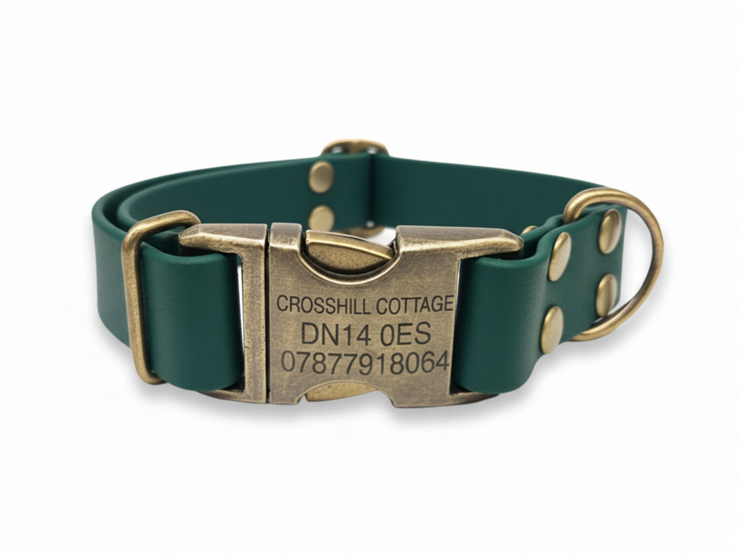 Green biothane dog collar with brass buckle on a white background