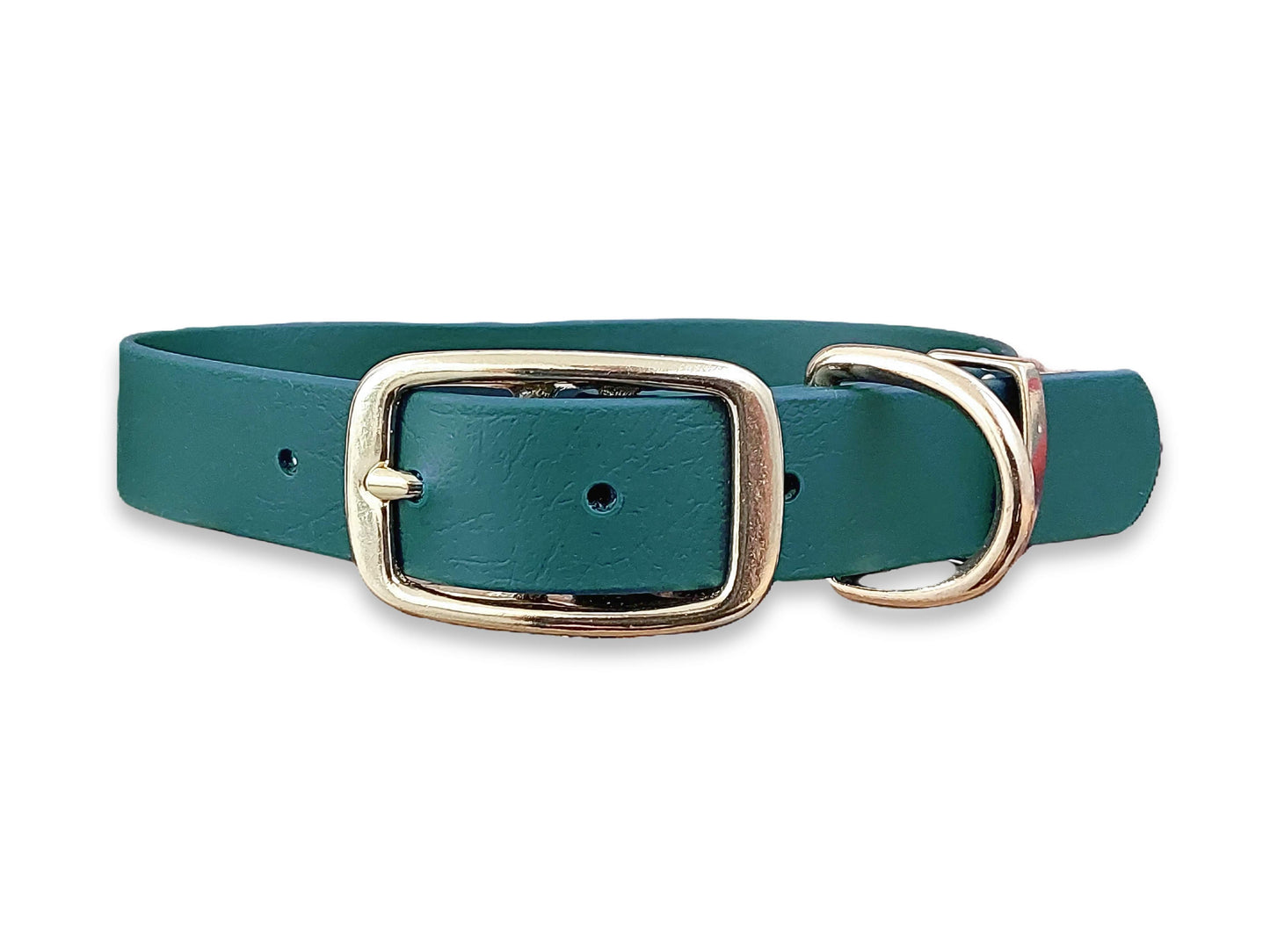 Dark Green Biothane buckle dog collar – waterproof, wipe-clean and durable – by Collared Creatures