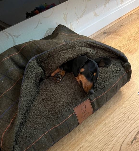 Green Tweed Luxury Dog Snuggle Bed - Snuggle Sack