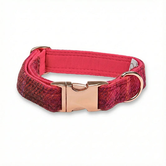 Deep fuchsia check Harris Tweed dog collar with rose gold buckle on a white background
