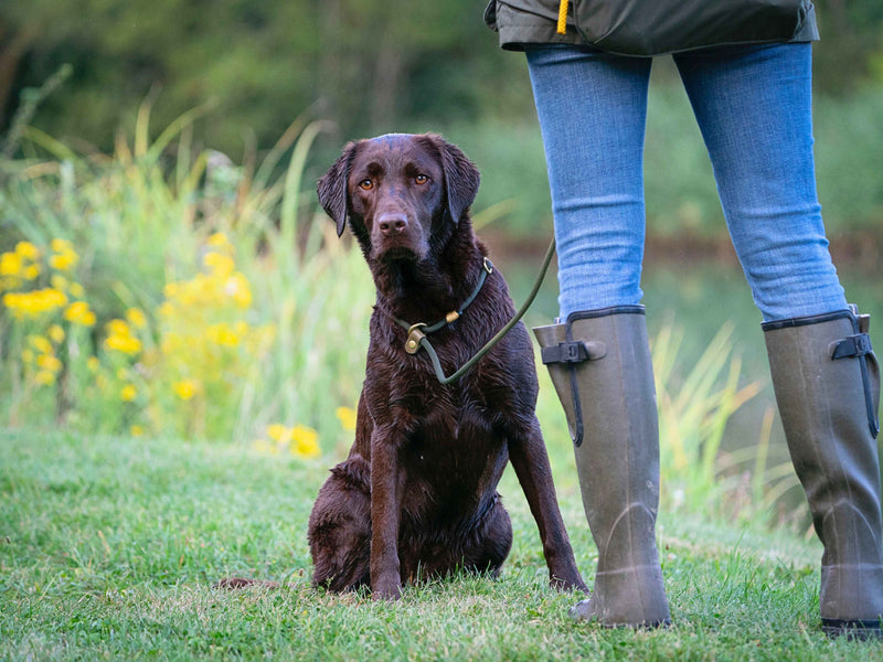 Is that collar going to slip off mid-zoom?