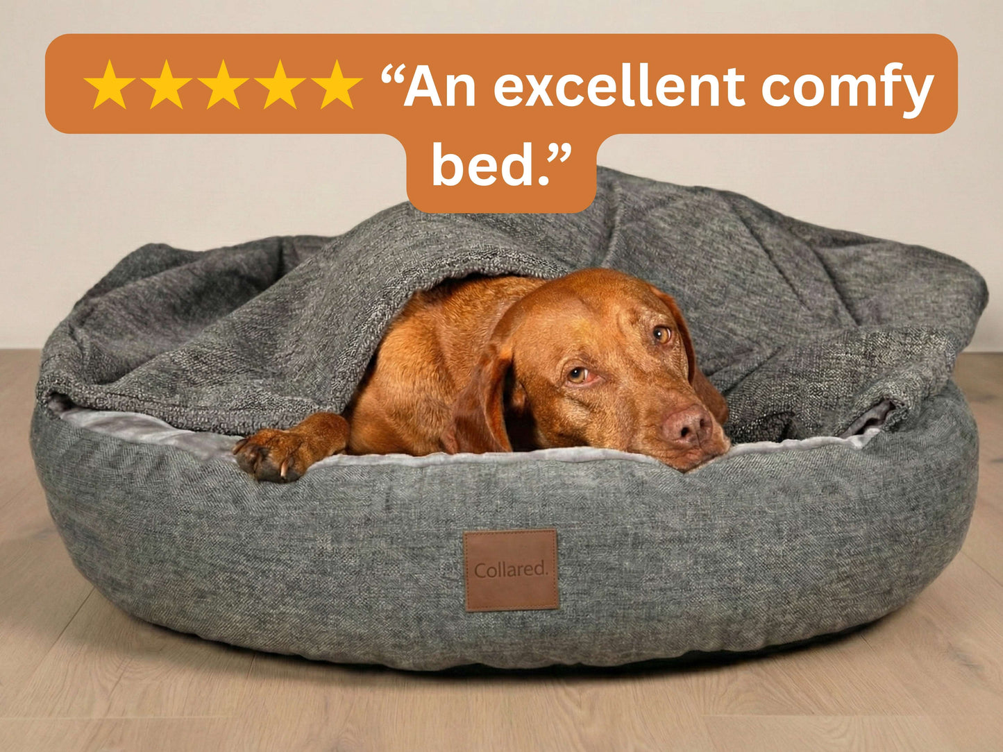 Dog lying in a gray dog bed with a five-star rating text above it.