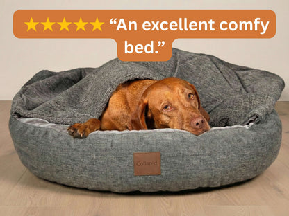 Dog lying in a gray dog bed with a five-star rating text above it.