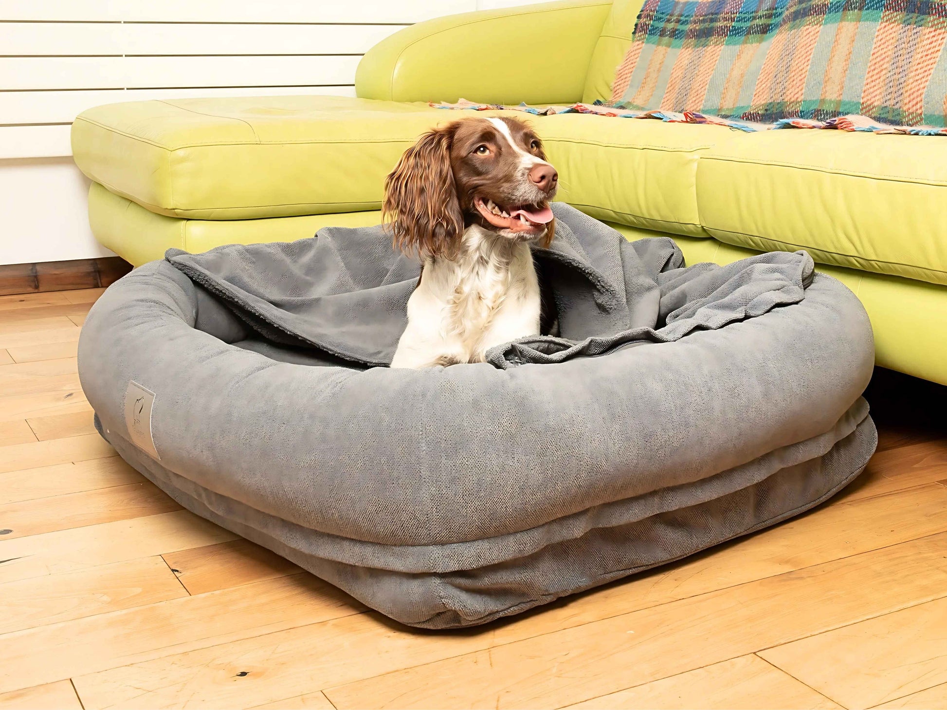 Dog relaxing in bolster dog bed with partially folded hood and raised supportive sides