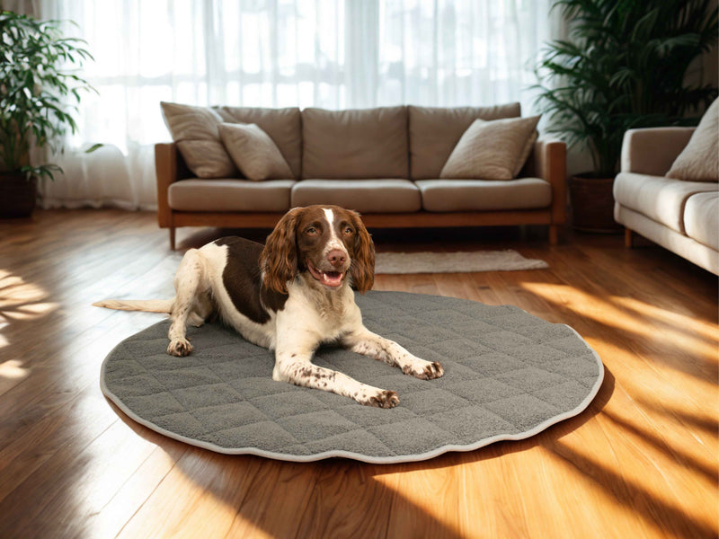 More Than Just a Bed Blanket...