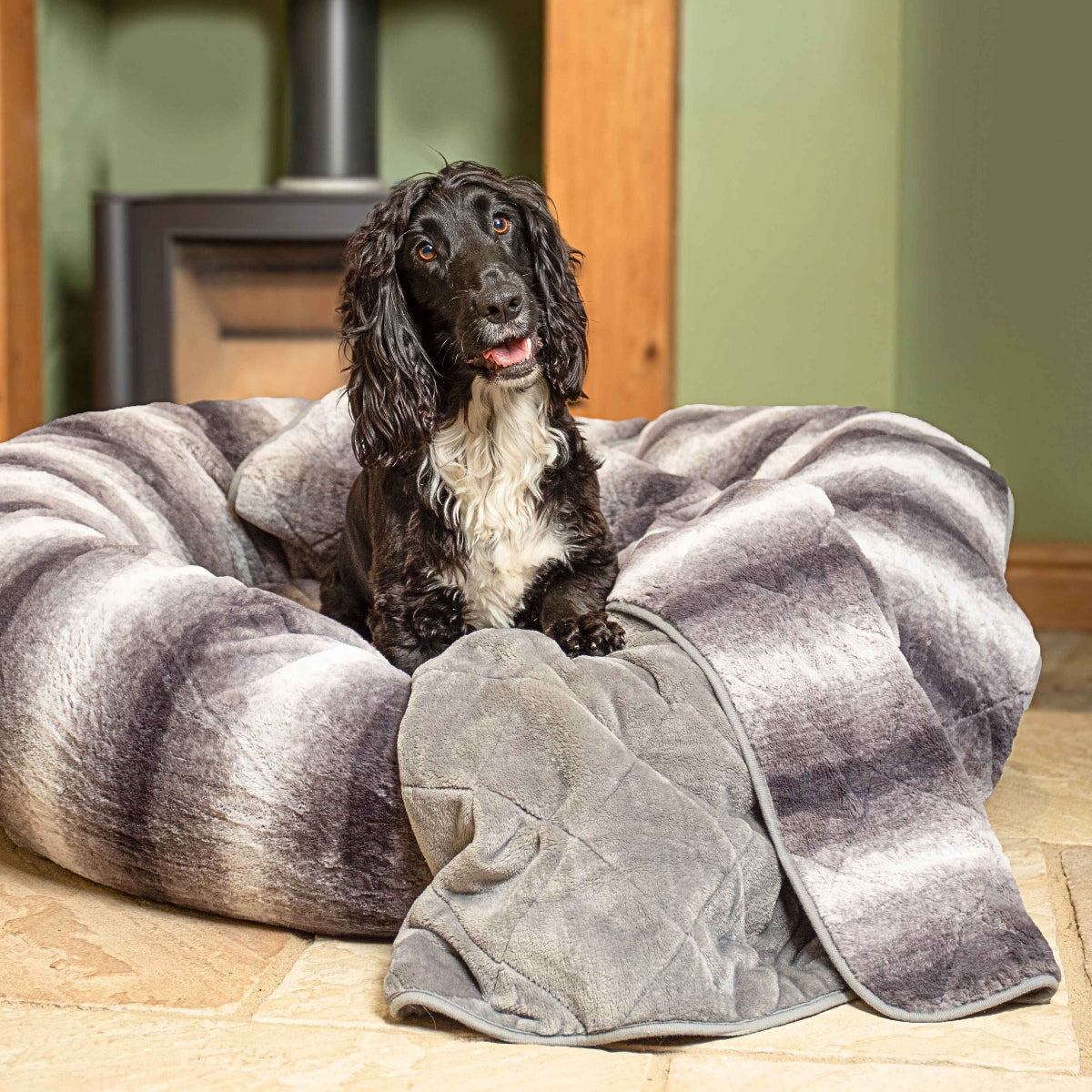 Her Bed Why Does My Dog Dig At My Blankets Blanket My Dog Is